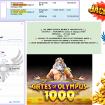 INDO4DPOOLS JACKPOT PRAGMATIC “Gates of Olympus 1000″‎‏‏‎‎ Rp12.240.000,- LUNAS