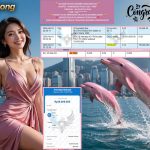 INDO4DPOOLS JACKPOT HONGKONG POOLS FULL “7604” Rp19.000.000,- LUNAS